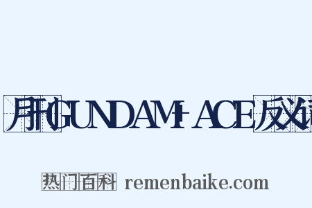 月刊GUNDAM+ACE反义词是什么意思的图片